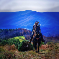 elk mountain riding comapny.png